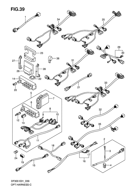 Suzuki DF 300 Opt: Harness