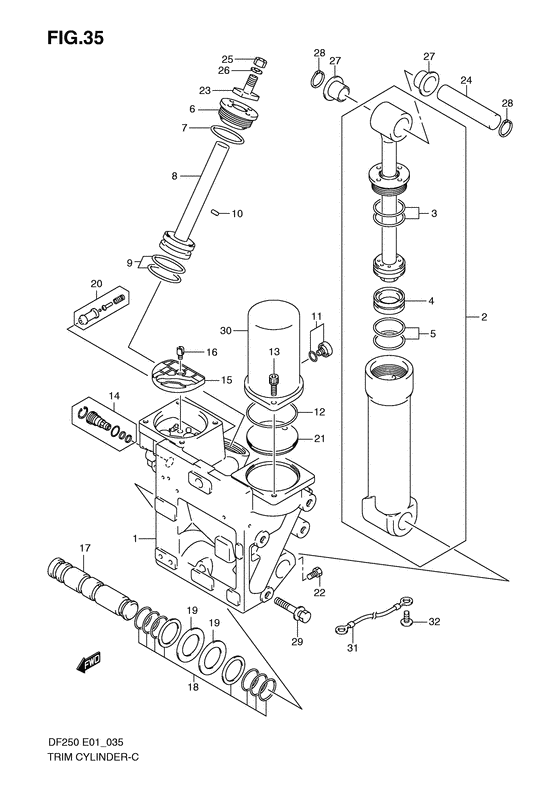 Suzuki DF 200 Trim Cylinder