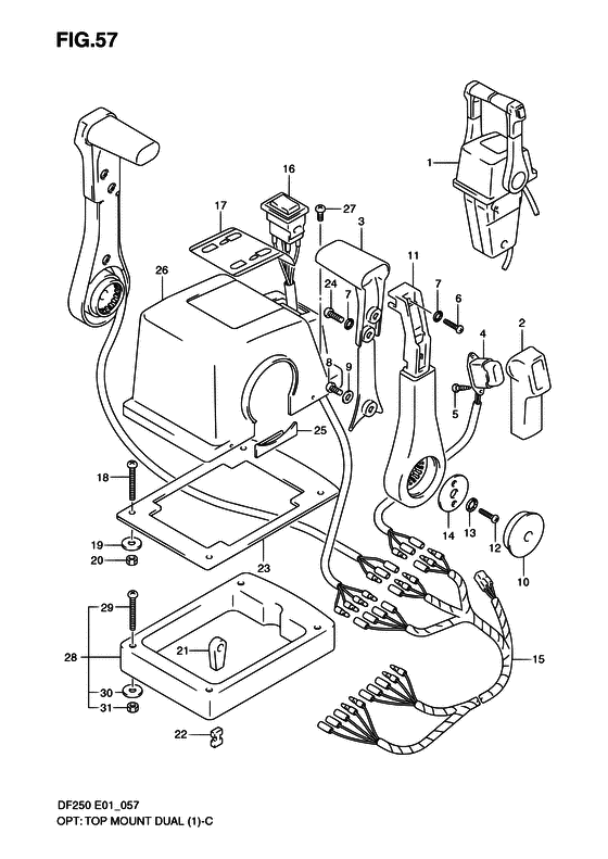 Suzuki DF 250 Opt: Top Mount Dual (1)