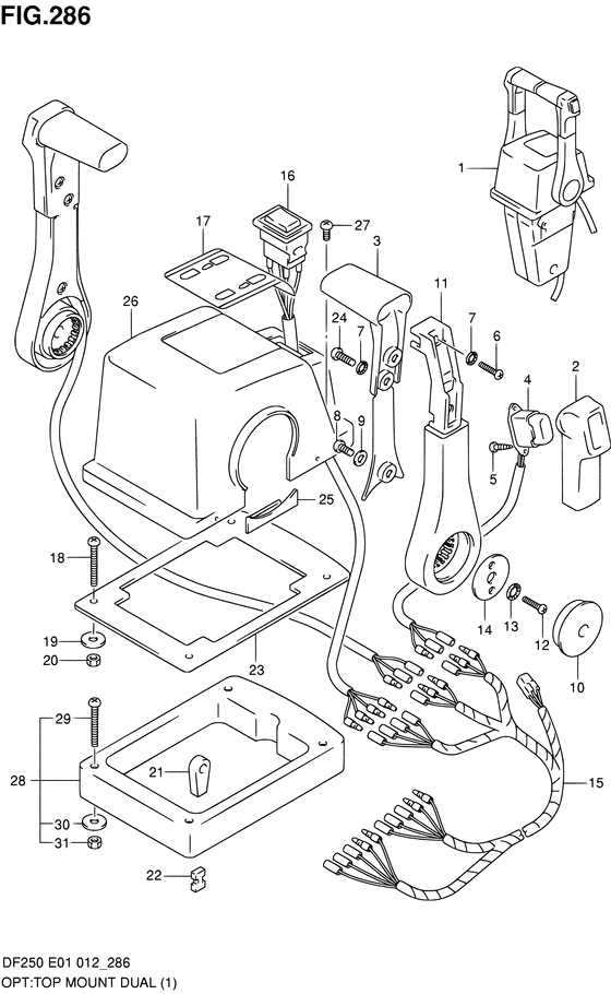 Suzuki DF 250 Opt: Top Mount Dual (1)