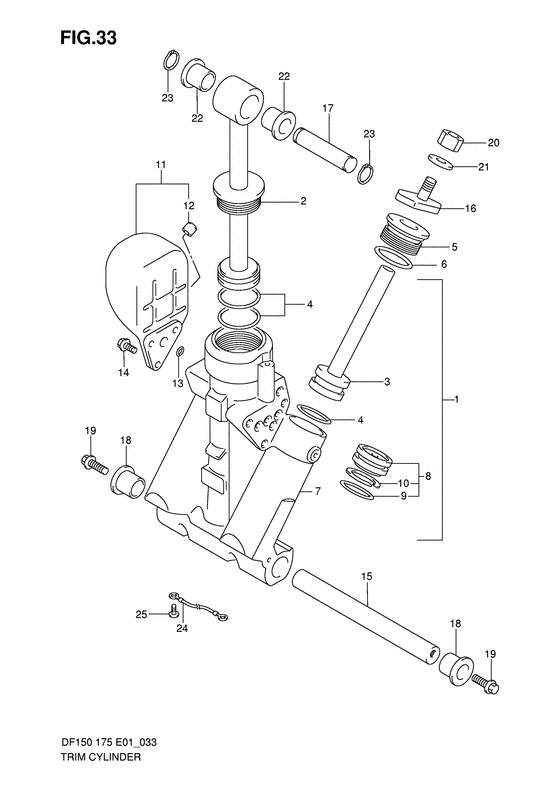 Suzuki DF 175 Trim Cylinder